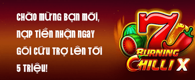 Hướng Dẫn Cài Đặt Ứng Dụng